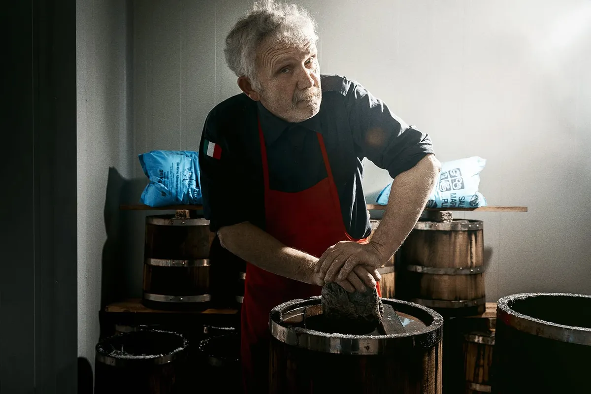 밤나무 통 숙성